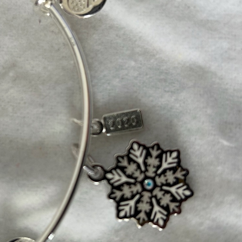 Alex and Ani 2020 Alex and Ani bracelet
